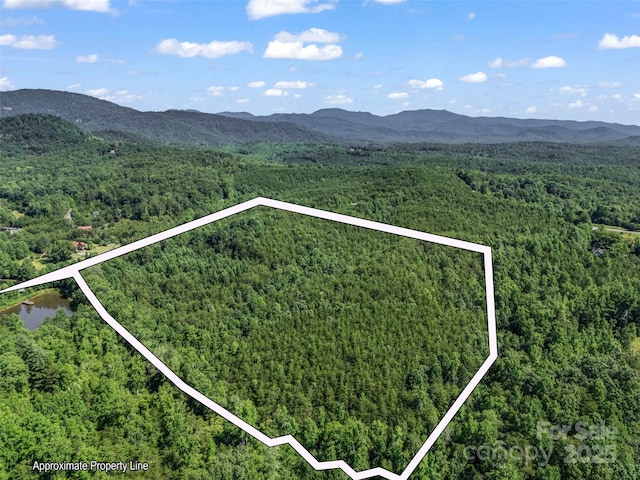 0000 Bills Creek Rd, Lake Lure, NC 28746 - photo 27