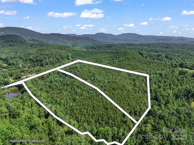 0000 Bills Creek Rd, Lake Lure, NC 28746 - photo 28