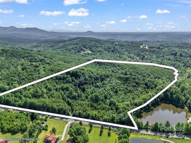 0000 Bills Creek Rd, Lake Lure, NC 28746 - photo 29