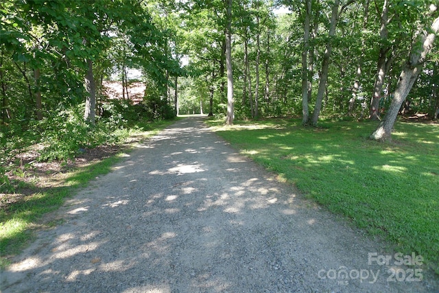 145 Abigail Trl Unit 18, Ararat, NC 27007 - photo 24
