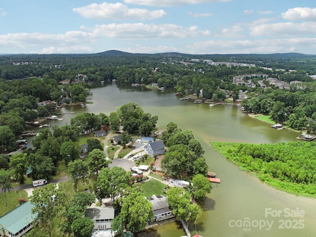 5141 Sapp Cir, Clover, SC 29710 - photo 42