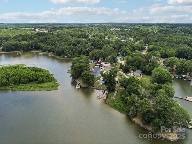 5141 Sapp Cir, Clover, SC 29710 - photo 44