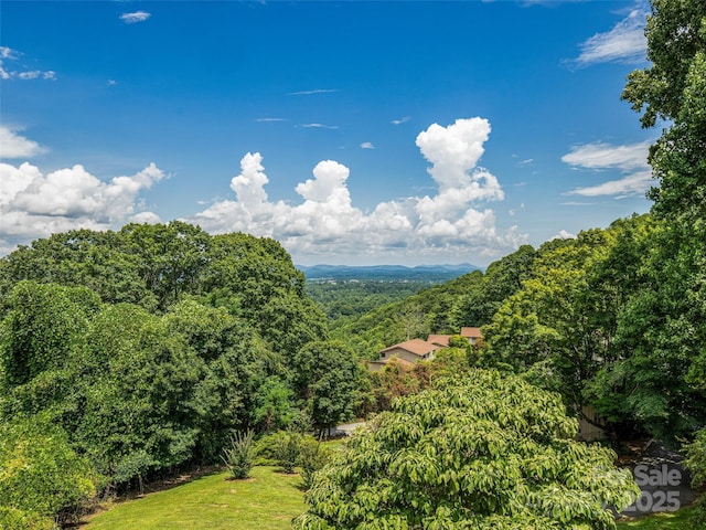 128 Country Ridge Rd, Hendersonville, NC 28739 - photo 1