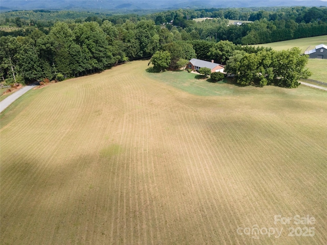 312 Lister Rd, Landrum, SC 29356 - photo 2