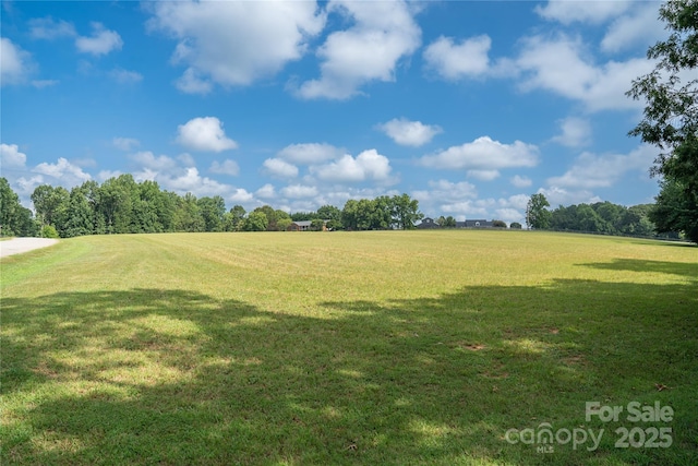 312 Lister Rd, Landrum, SC 29356 - photo 7