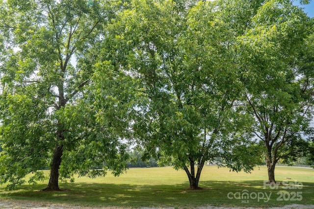 312 Lister Rd, Landrum, SC 29356 - photo 38