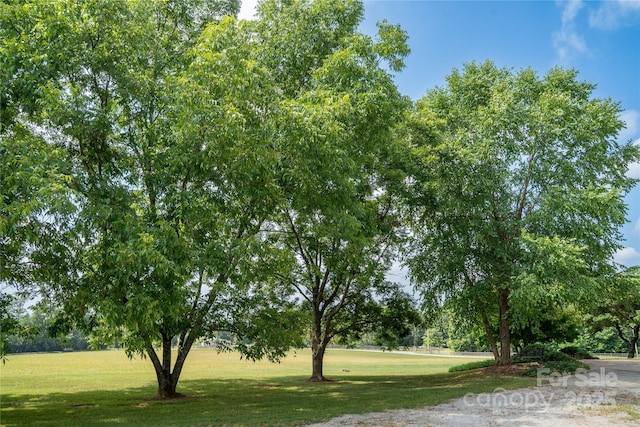 312 Lister Rd, Landrum, SC 29356 - photo 39