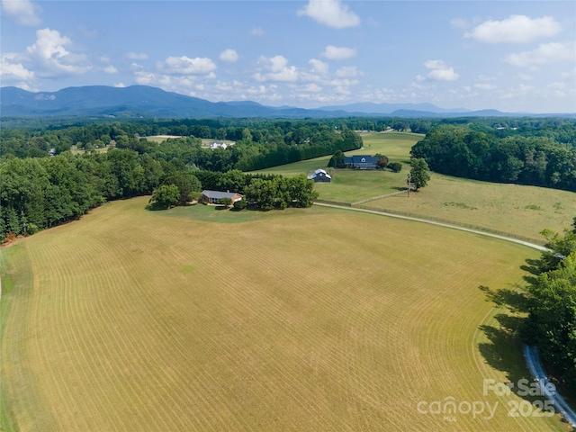 312 Lister Rd, Landrum, SC 29356 - photo 41