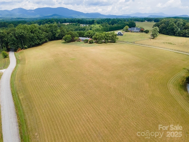 312 Lister Rd, Landrum, SC 29356 - photo 42