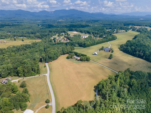 312 Lister Rd, Landrum, SC 29356 - photo 44