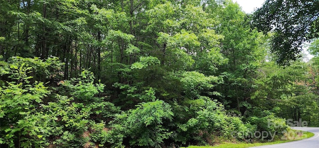 LOT36 White Oak Mountain Rd, Columbus, NC 28722 - photo 2