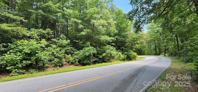 LOT36 White Oak Mountain Rd, Columbus, NC 28722 - photo 3