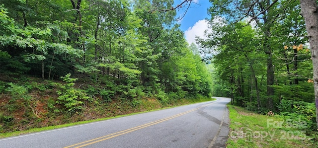 LOT36 White Oak Mountain Rd, Columbus, NC 28722 - photo 4