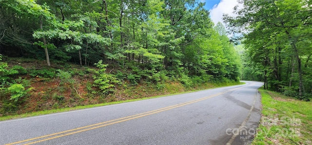 LOT36 White Oak Mountain Rd, Columbus, NC 28722 - photo 5
