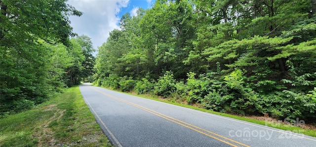 LOT36 White Oak Mountain Rd, Columbus, NC 28722 - photo 14