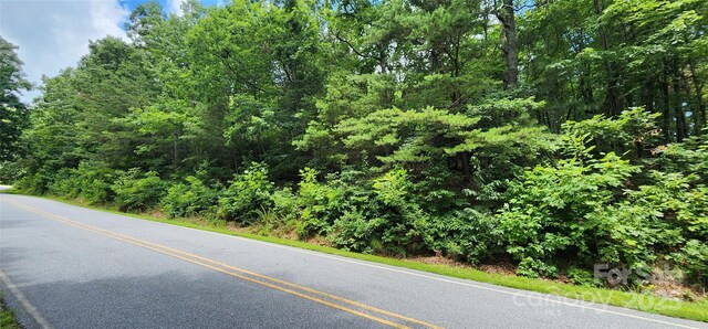 LOT36 White Oak Mountain Rd, Columbus, NC 28722 - photo 15