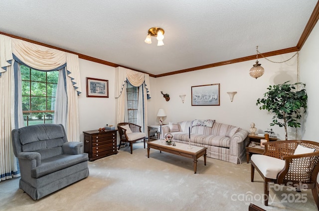 10004 Snowflake Ct, Charlotte, NC 28215 - photo 5