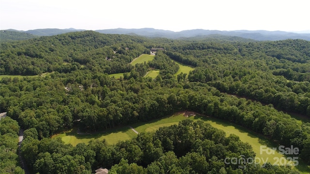 877 Soquili Dr, Brevard, NC 28712 - photo 26