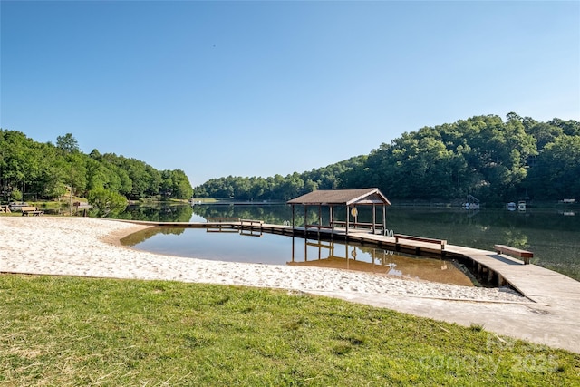 877 Soquili Dr, Brevard, NC 28712 - photo 30