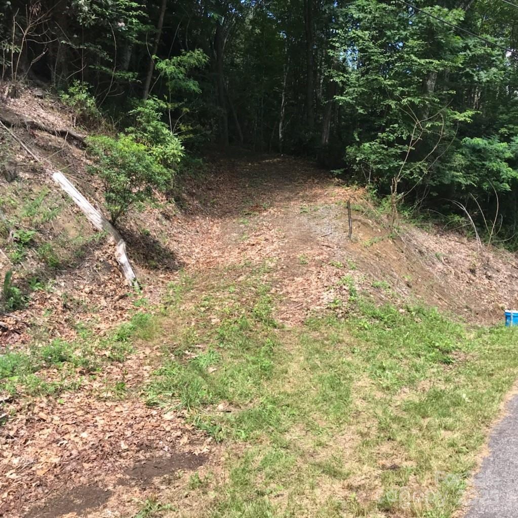 LOT619 Yanu Trl, Maggie Valley, NC 28751 - photo 2