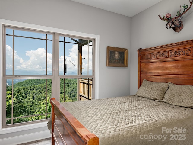 1070 Gold City Ln, Franklin, NC 28734 - photo 20