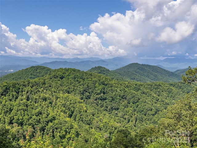1070 Gold City Ln, Franklin, NC 28734 - photo 28