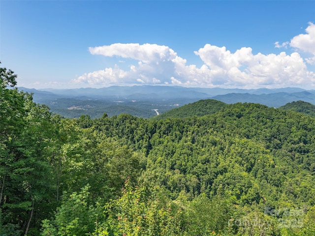 1070 Gold City Ln, Franklin, NC 28734 - photo 3