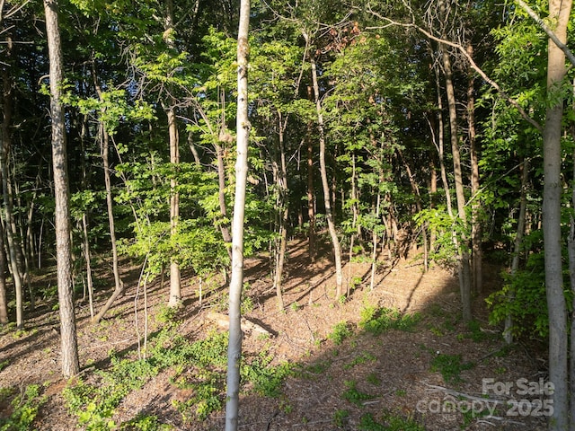 5141 Grassy Creek Rd, Denver, NC 28037 - photo 10