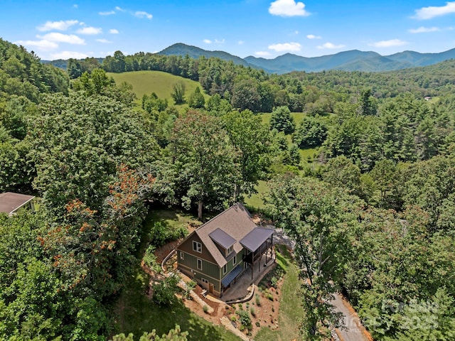 211 Wimbledon Ct, Leicester, NC 28748 - photo 48