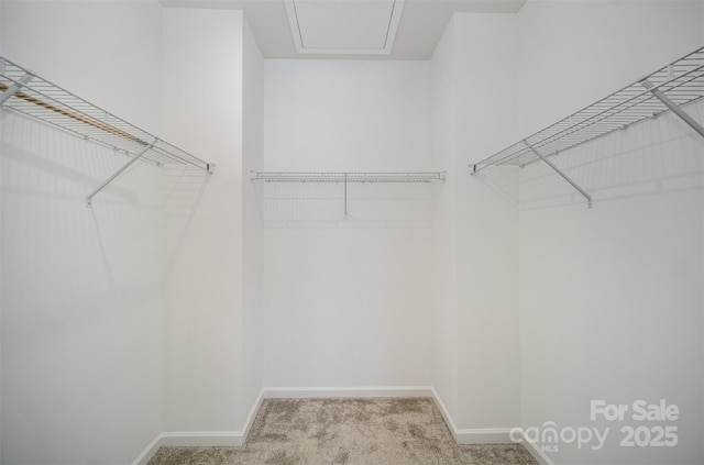 9213 Widden Way, Charlotte, NC 28269 - photo 24