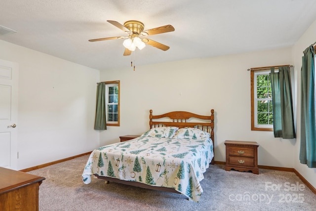 110 Pinellas Ln, Waynesville, NC 28785 - photo 26