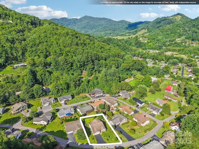 110 Pinellas Ln, Waynesville, NC 28785 - photo 36
