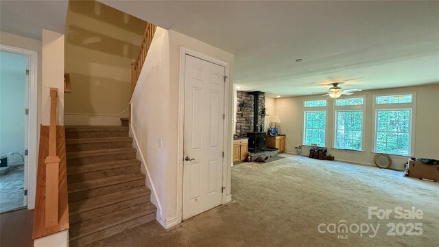31 Reeds Creek Rd, Fairview, NC 28730 - photo 20