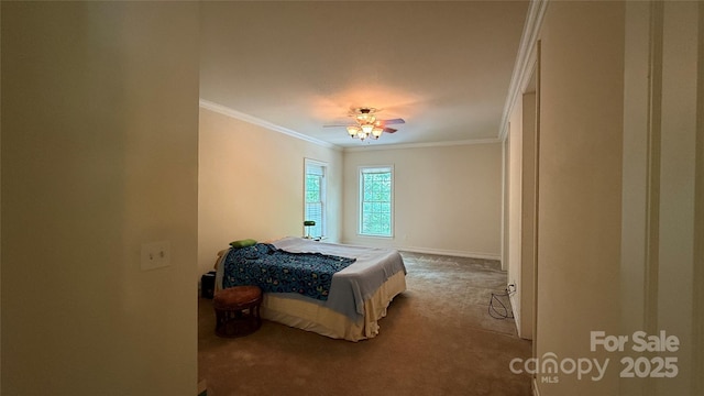 31 Reeds Creek Rd, Fairview, NC 28730 - photo 23