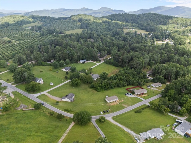 1291 Pace Rd, Hendersonville, NC 28792 - photo 12