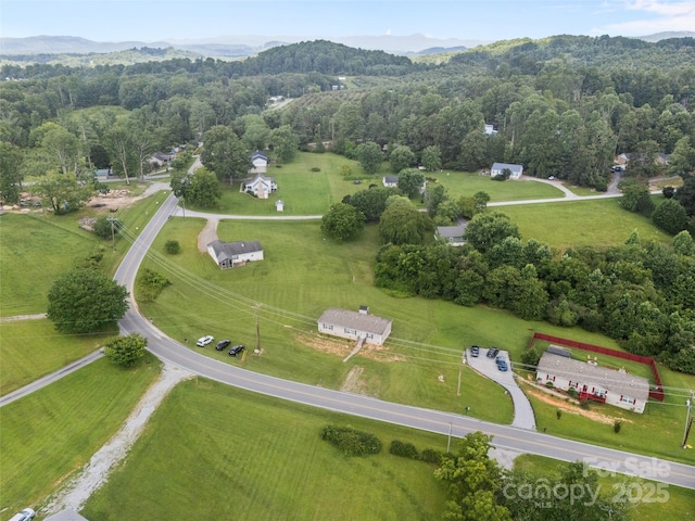1291 Pace Rd, Hendersonville, NC 28792 - photo 14