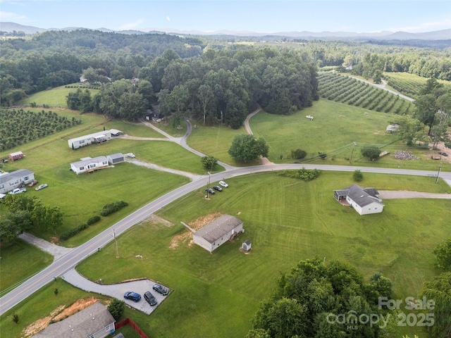 1291 Pace Rd, Hendersonville, NC 28792 - photo 18