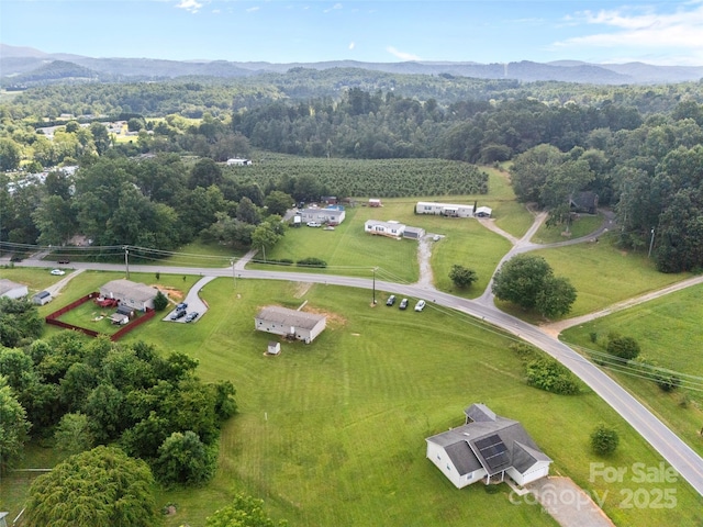 1291 Pace Rd, Hendersonville, NC 28792 - photo 19