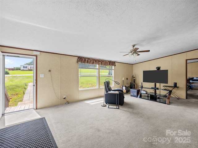 1291 Pace Rd, Hendersonville, NC 28792 - photo 21