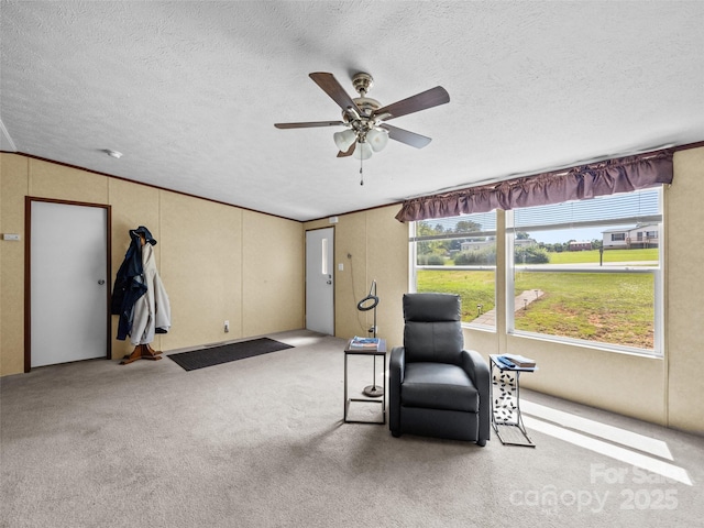1291 Pace Rd, Hendersonville, NC 28792 - photo 22
