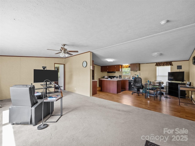 1291 Pace Rd, Hendersonville, NC 28792 - photo 23