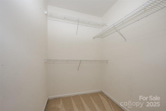 11921 Lambert Bridge Dr, Charlotte, NC 28270 - photo 15