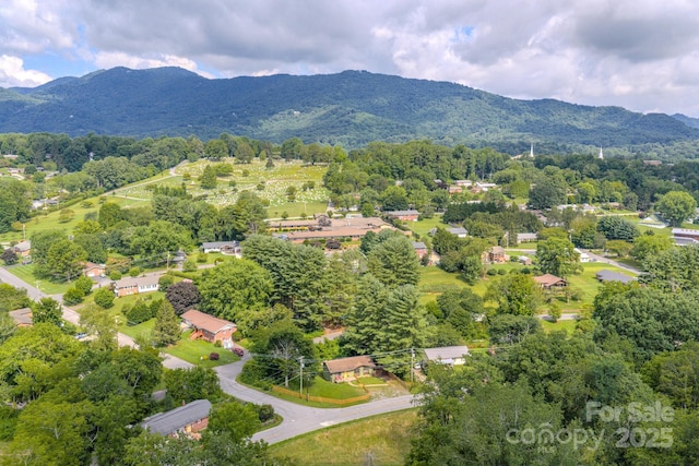 204 Oakdale Rd, Waynesville, NC 28786 - photo 24