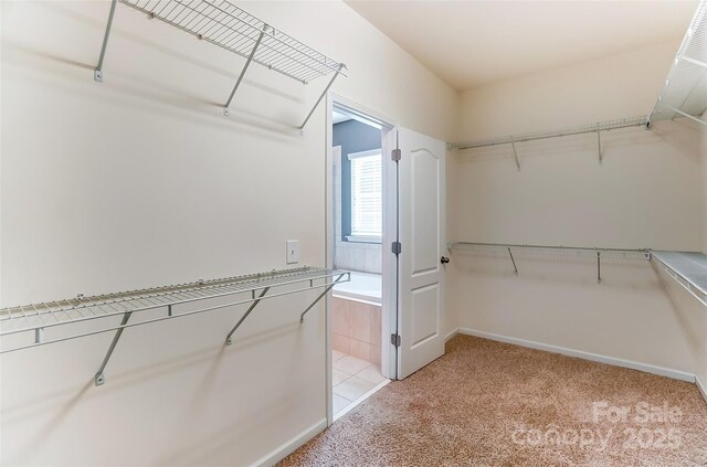 15031 Brannock Hills Dr, Charlotte, NC 28278 - photo 31