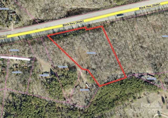 0000 Black Hwy, Smyrna, SC 29743 - photo 3