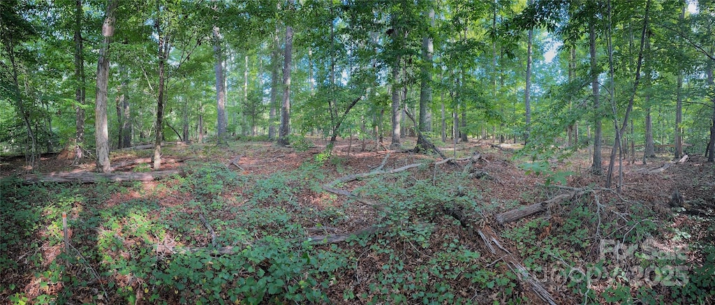 0000 Black Hwy, Smyrna, SC 29743 - photo 2