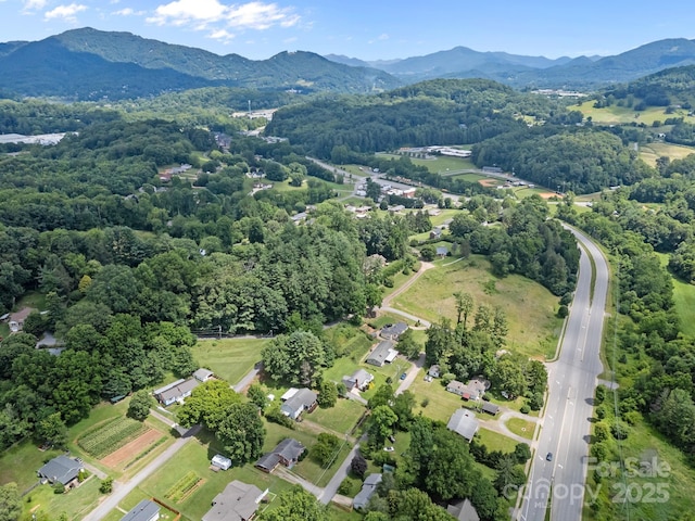 119 Clement Dr, Waynesville, NC 28786 - photo 26