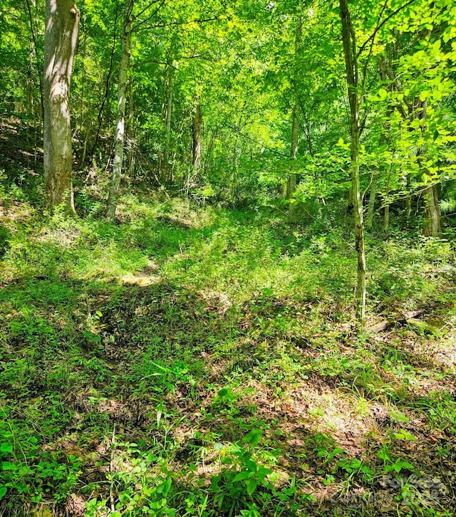 99 Phillips Rd, Burnsville, NC 28714 - photo 11