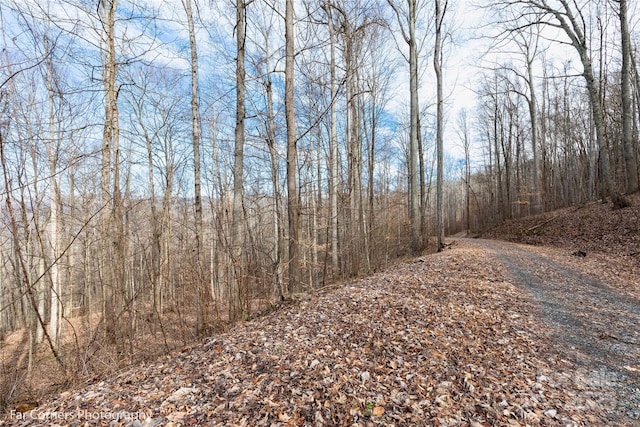 99999 Little Pond Pass Unit E21, Mars Hill, NC 28754 - photo 10