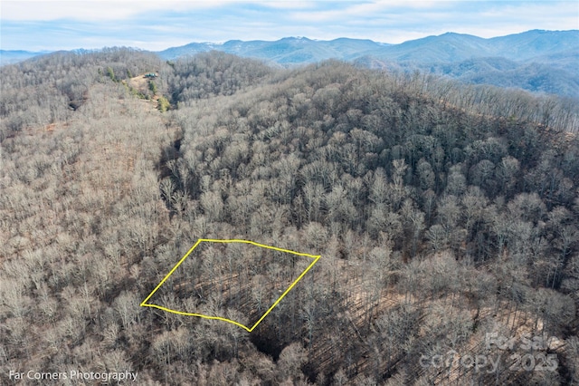 99999 Little Pond Pass Unit E21, Mars Hill, NC 28754 - photo 1
